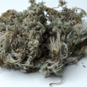 100g Natural Raw Herb Artemisia Capillaris - Yin Chen - 茵陈