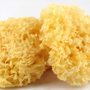 100g Natural Raw Herb Yin Er - Yin Er - 银耳